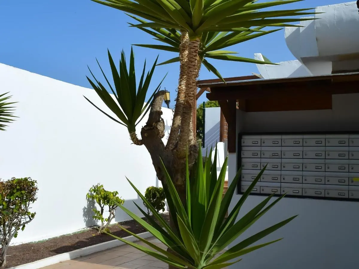 아파트 Dunasol 341 By Best Holidays Fuerteventura 코라레호